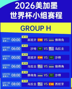2026年世界杯专属频道